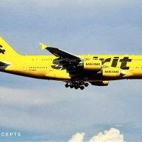 Spirit Airlines Booking